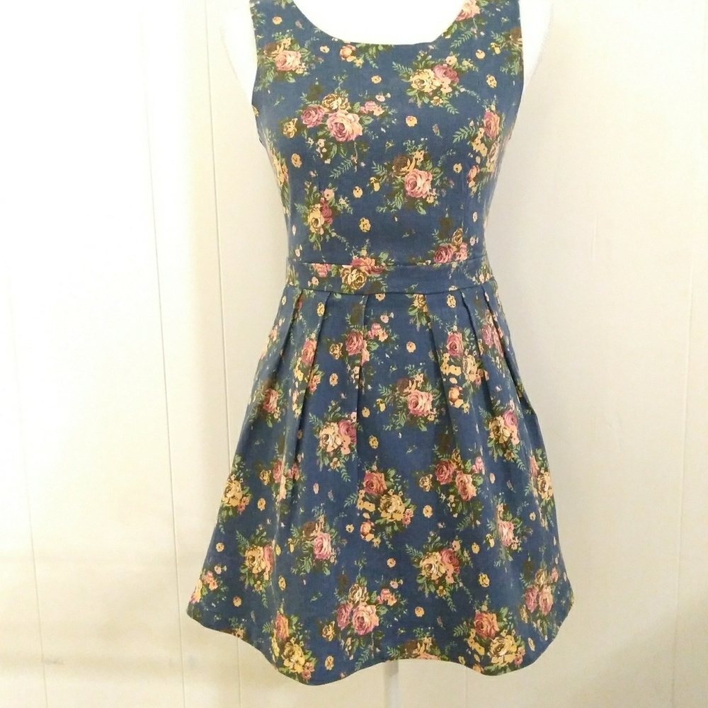 Rhyme & Echo Dress Small Fit Flare Blue Floral Denim Cottagecore Roses Zip Back